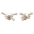 Diamonfire Zodiac Constellation Stud Earrings