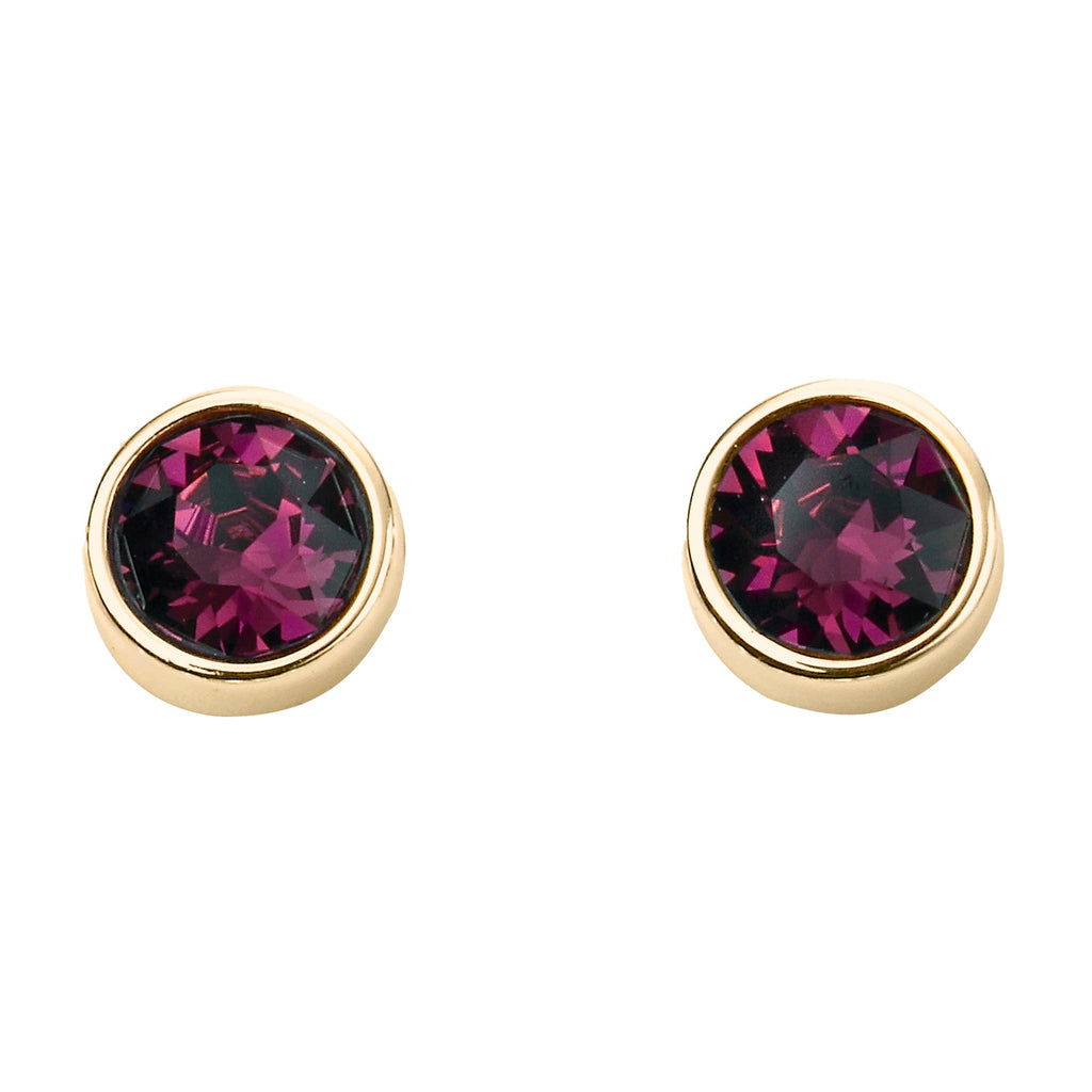 Beginnings Crystal Birthstone Earrings