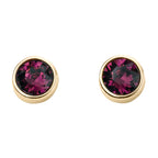 Beginnings Crystal Birthstone Earrings