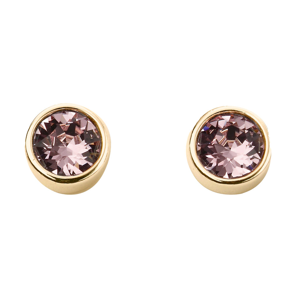 Beginnings Crystal Birthstone Earrings