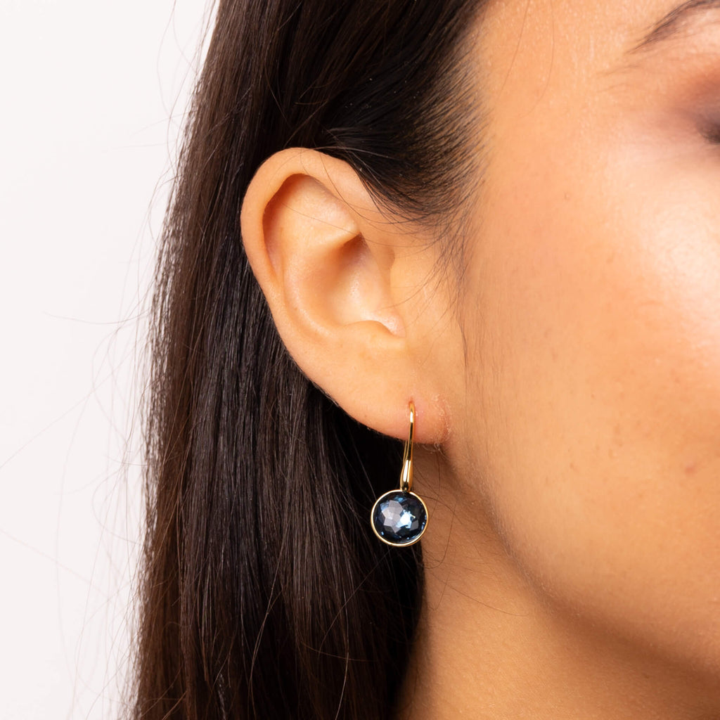 Beginnings Rose Cut Crystal Drop Earrings