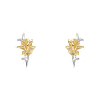 Laura Ashley Silver Heritage Daffodil Stud Earrings
