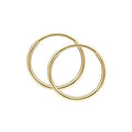 Elements Gold Hoop Earrings