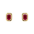 Elements Gold Chunky Border Precious Stone Stud Earrings