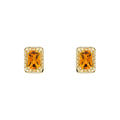 Elements Gold Detailed Octagon Citrine Stud Earrings