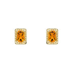 Elements Gold Detailed Octagon Citrine Stud Earrings