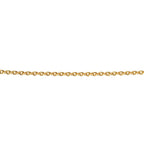 Beginnings Plated Curb Chain with Extender 56cm-61cm