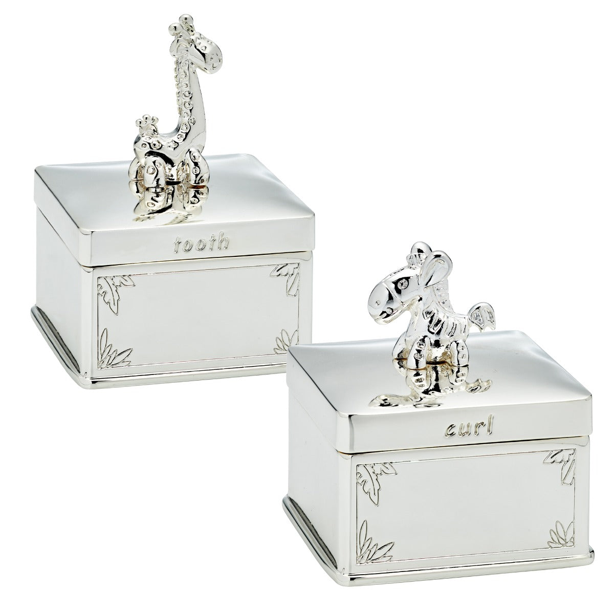 D For Diamond Giraffe and Zebra Tooth and Curl Boxes
